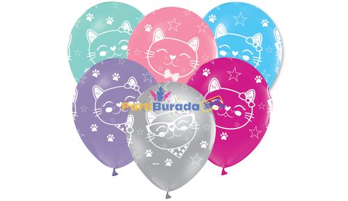 B.E.-12-Inc-C.C-Miss-Cat-Baskili-Balon